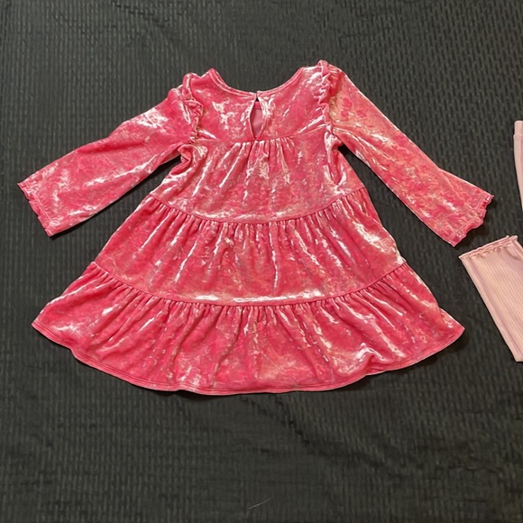 Cat & Jack Velour Pink Top  Size US XS (3T) and Old Navy pink Tights size 4T - Picture 12 of 15